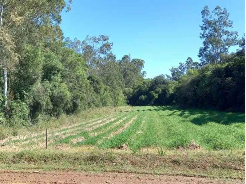 Imóvel rural em leilão