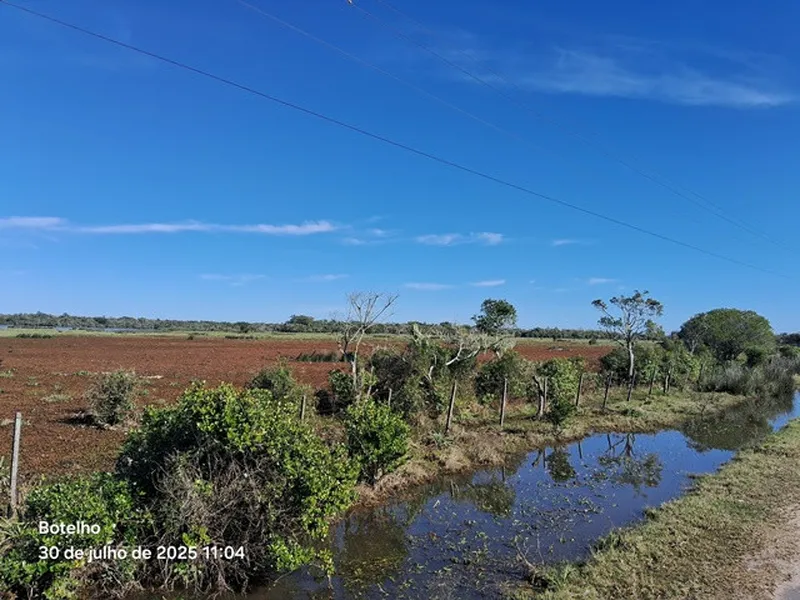 Imóvel rural em leilão