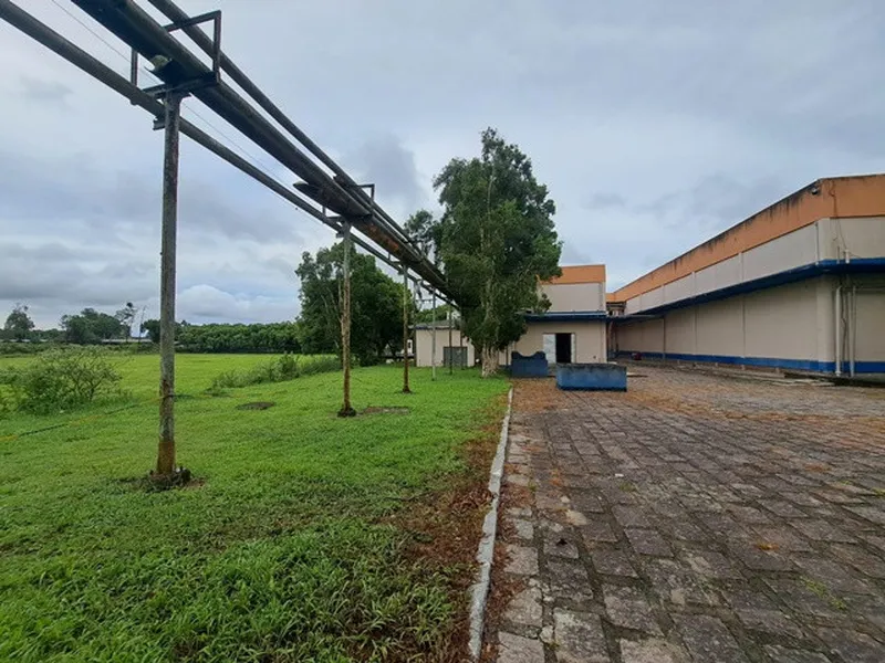 Outros em leilão