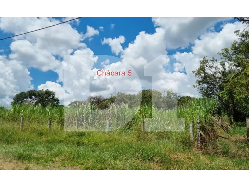 Imóvel rural em leilão