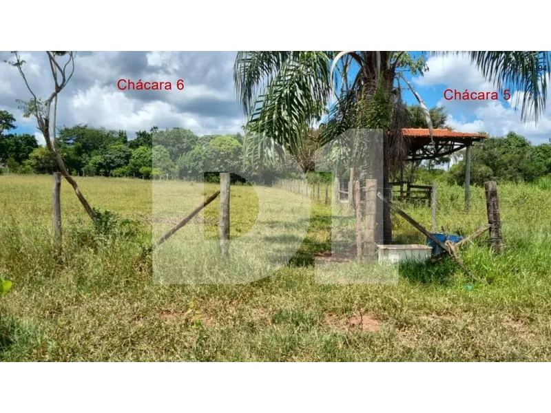 Imóvel rural em leilão