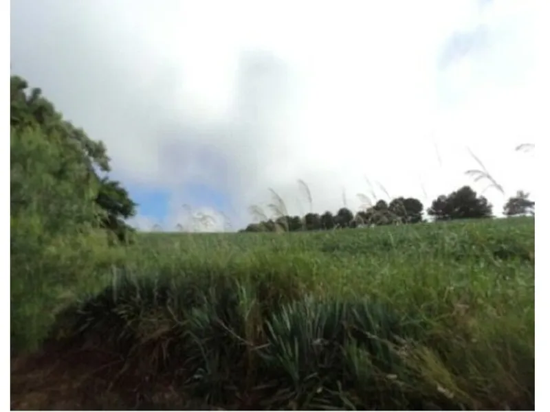 Imóvel rural em leilão