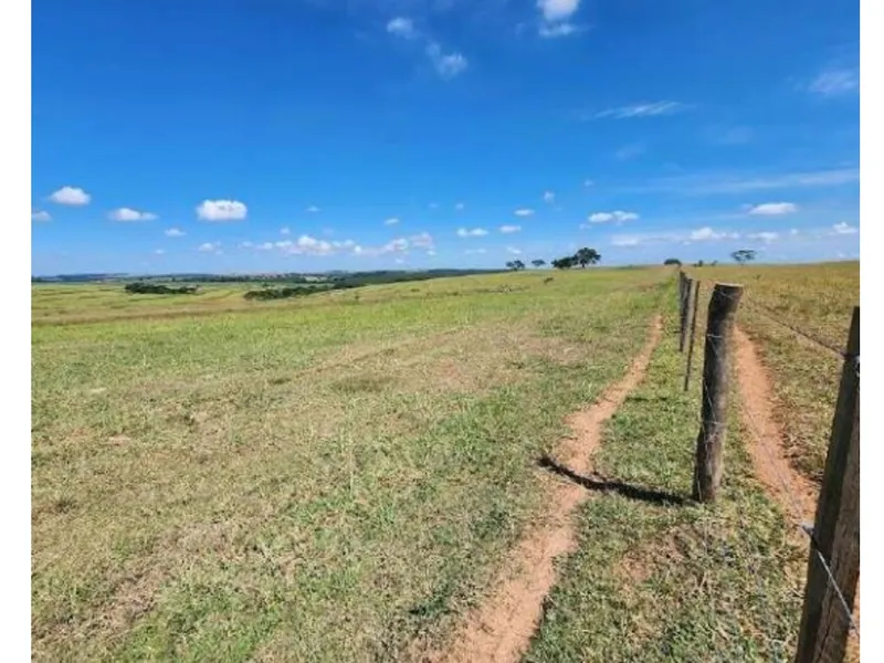 Imóvel rural em leilão