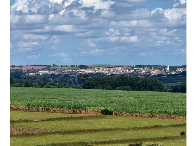 Imóvel rural em leilão