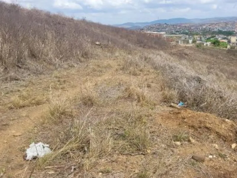 Terreno em leilão