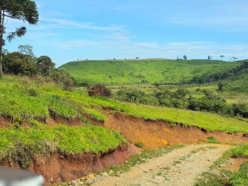 Imóvel rural em leilão