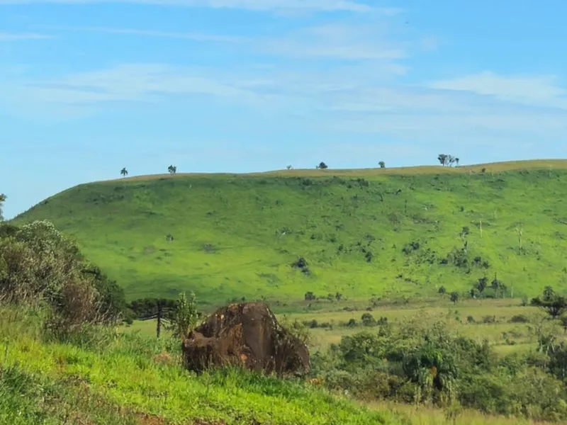 Imóvel rural em leilão