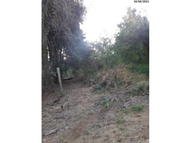 Imóvel rural em leilão