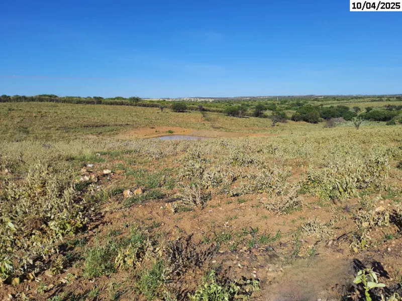 Imóvel rural em leilão