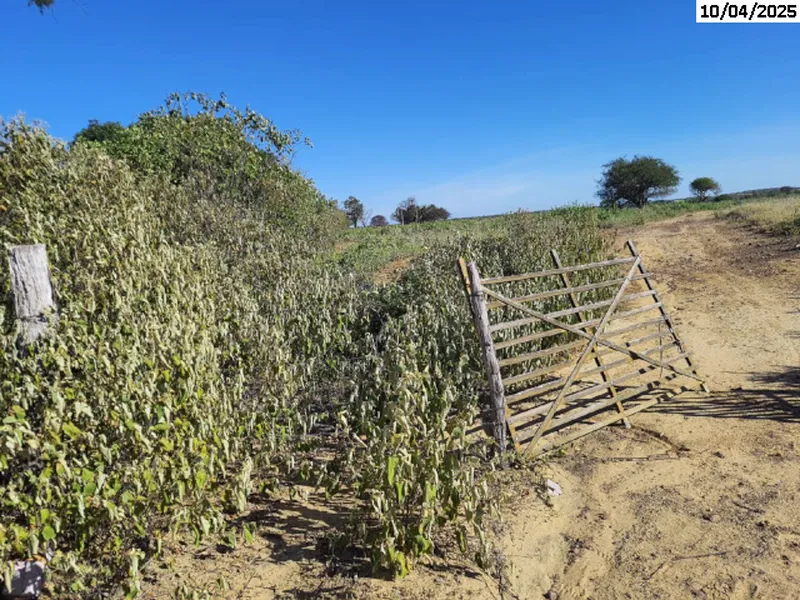 Imóvel rural em leilão
