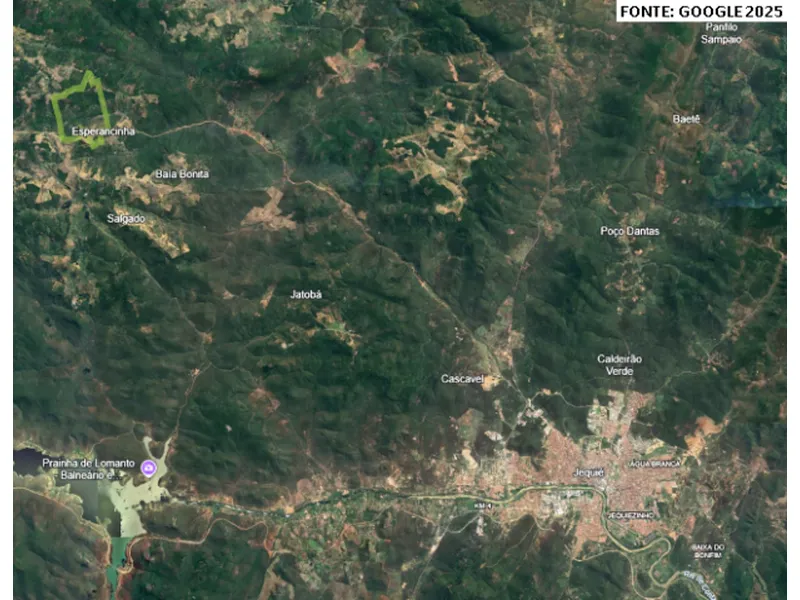 Imóvel rural em leilão
