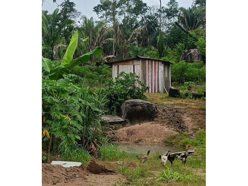 Imóvel rural em leilão