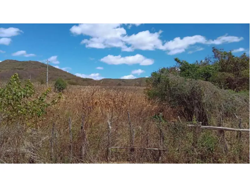 Imóvel rural em leilão