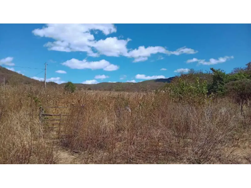 Imóvel rural em leilão