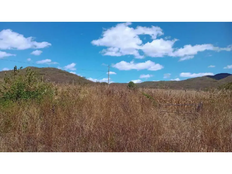 Imóvel rural em leilão