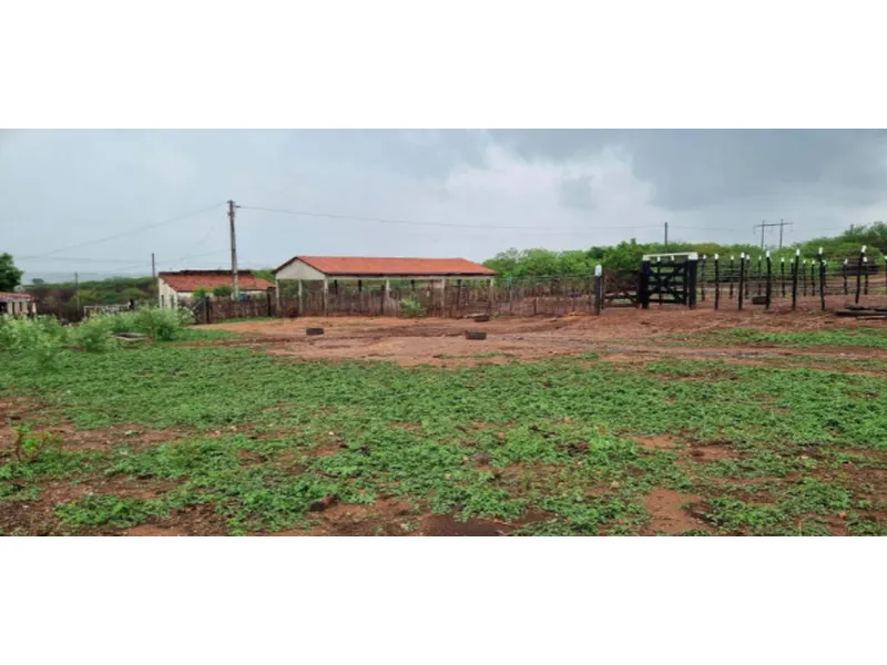 Imóvel rural em leilão