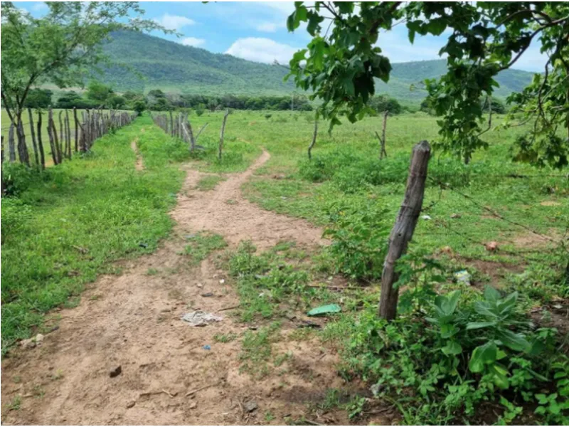 Imóvel rural em leilão