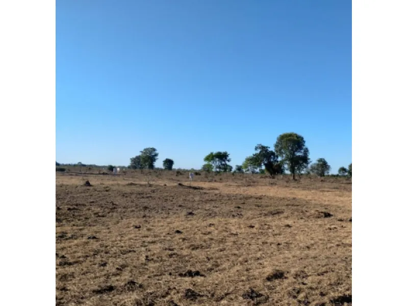 Imóvel rural em leilão