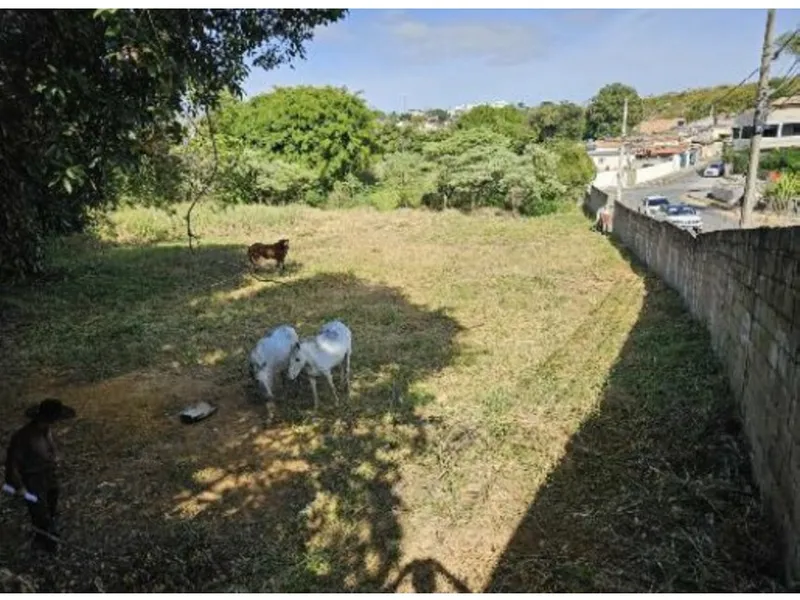 Terreno em leilão