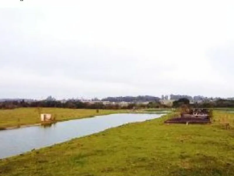 Terreno em leilão