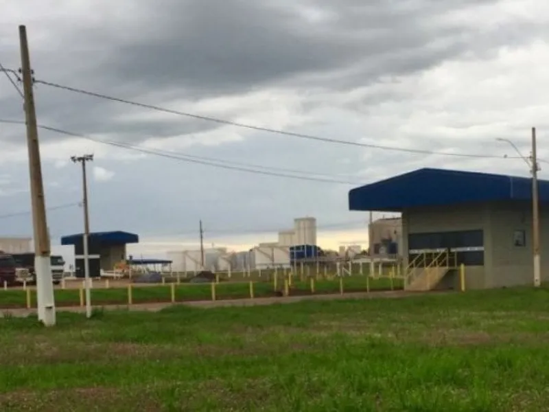 Outros em leilão
