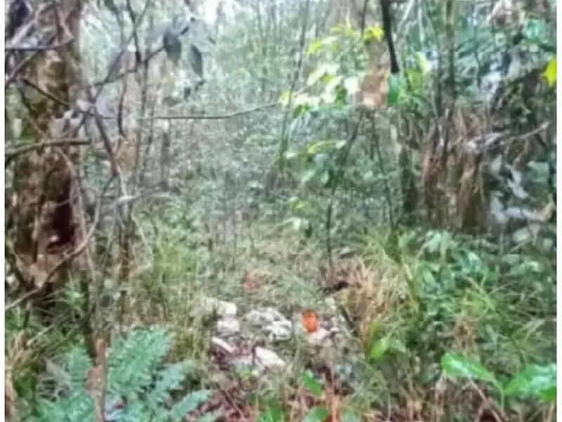 Terreno em leilão