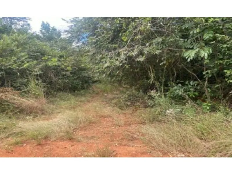 Terreno em leilão