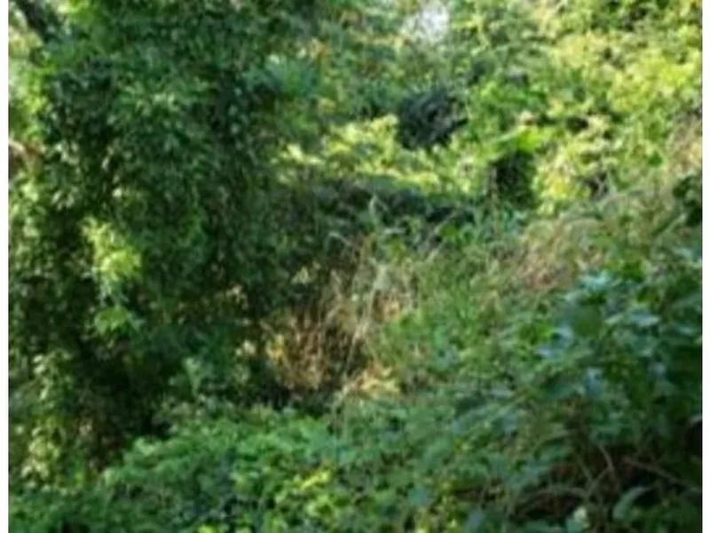 Terreno em leilão