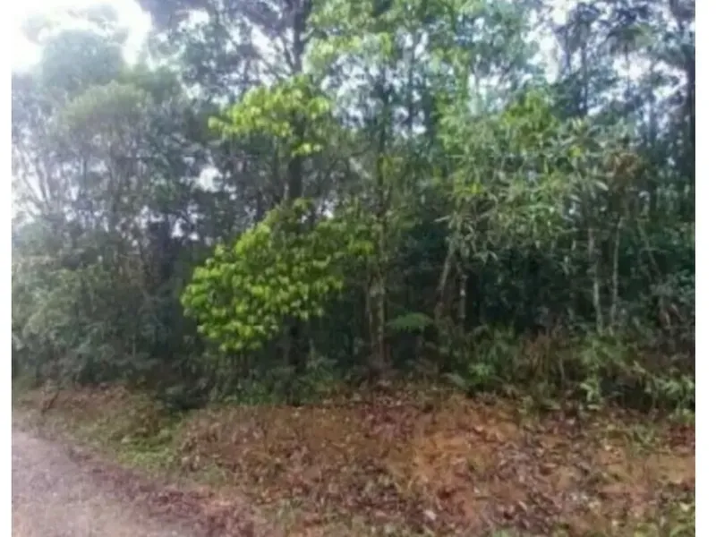 Terreno em leilão