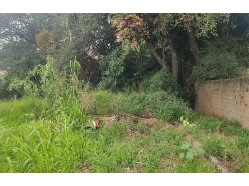 Terreno em leilão