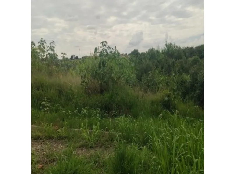 Terreno em leilão