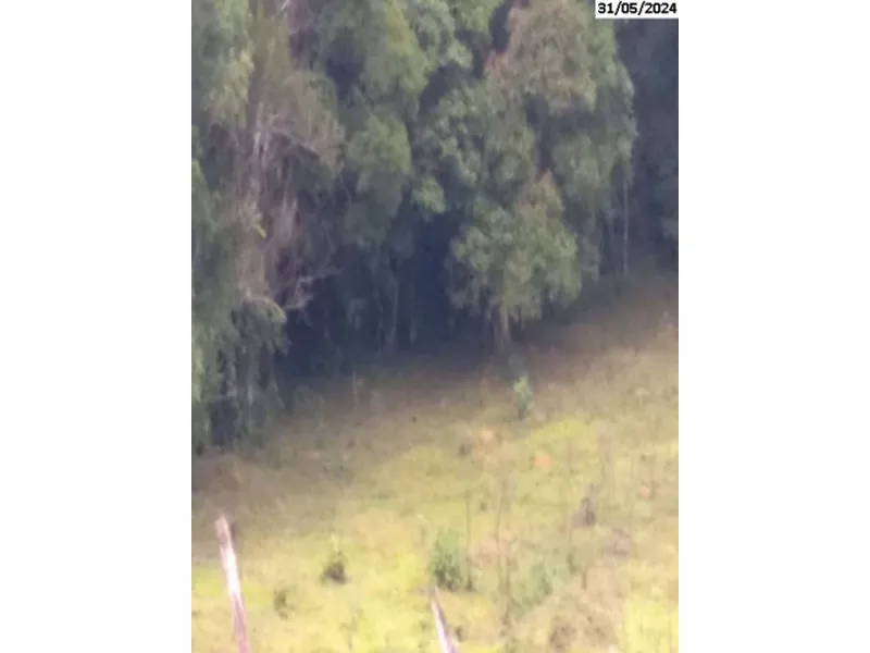Imóvel rural em leilão