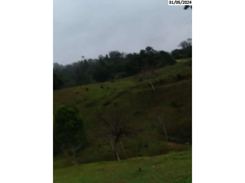 Imóvel rural em leilão