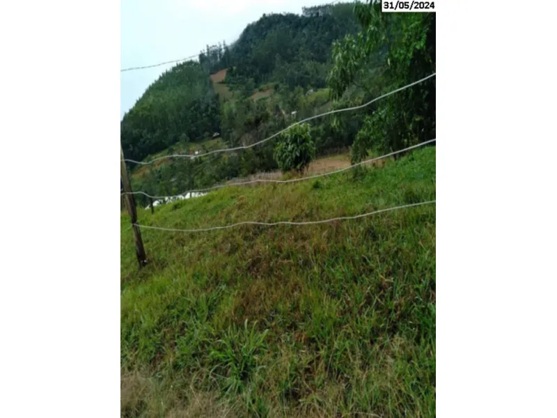 Imóvel rural em leilão
