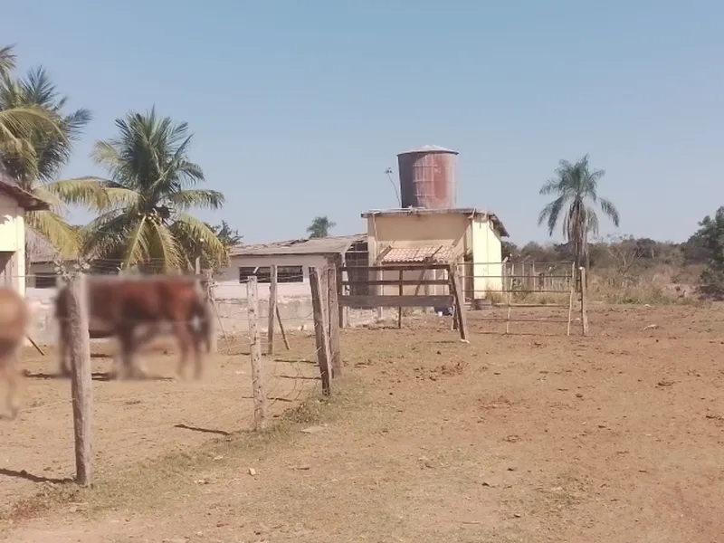 Outros em leilão