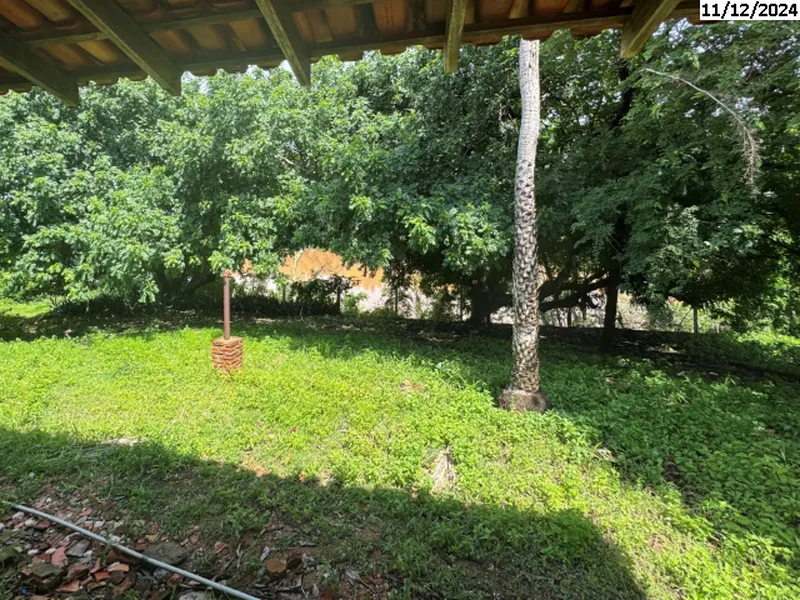 Outros em leilão