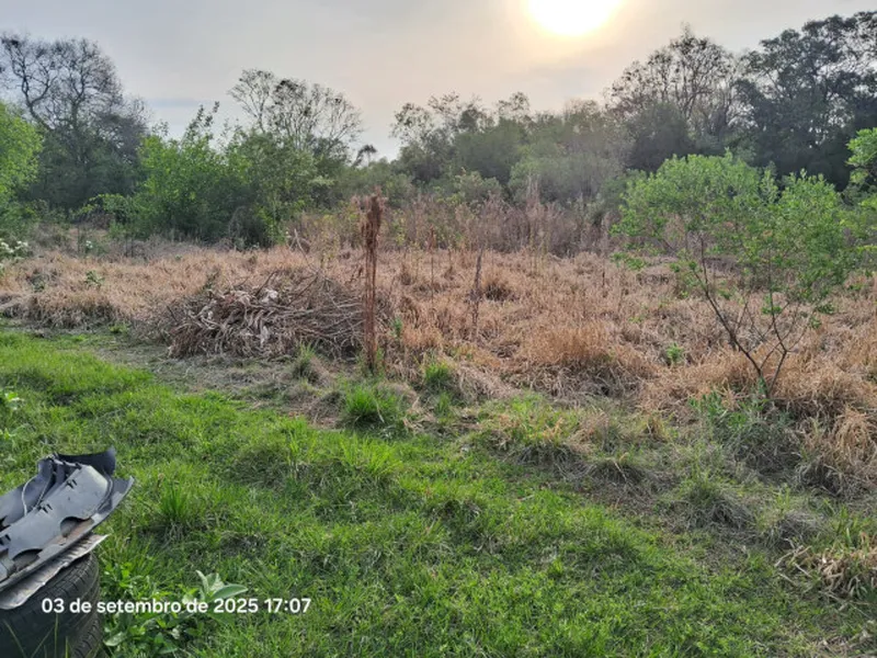 Imóvel rural em leilão