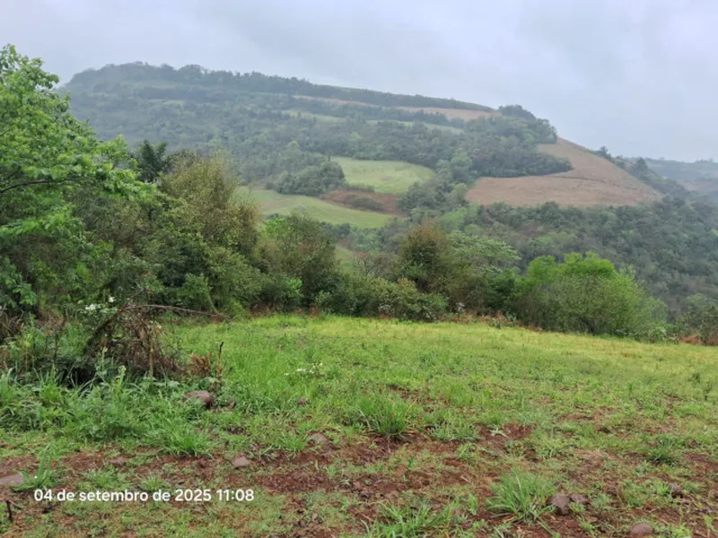 Imóvel rural em leilão