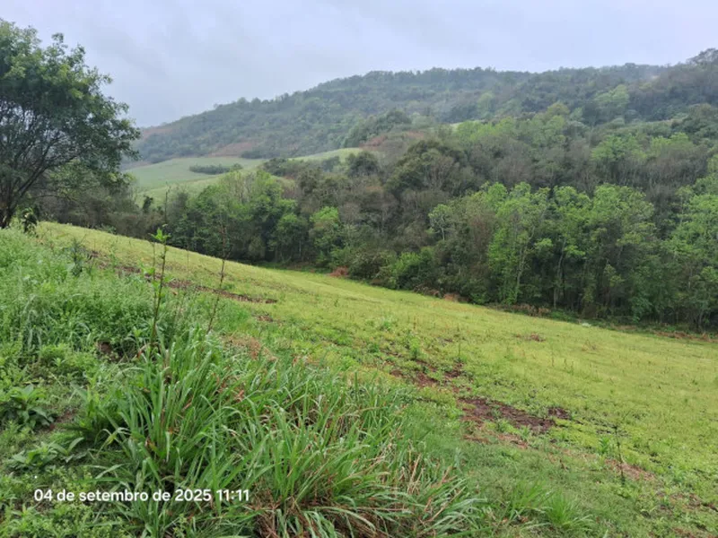 Imóvel rural em leilão