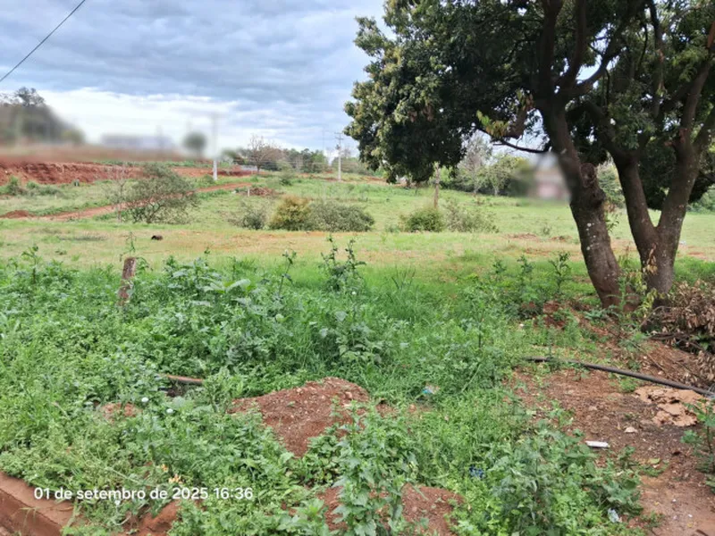Terreno em leilão