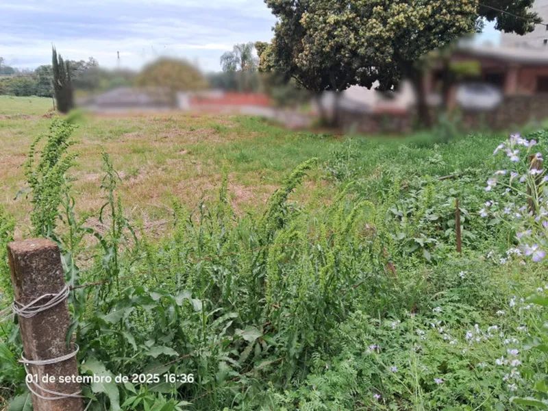Terreno em leilão