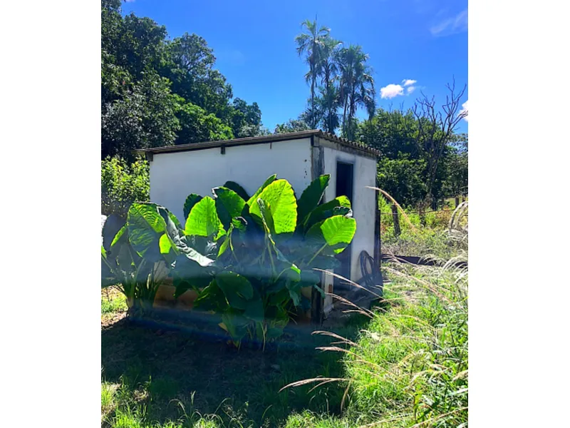 Imóvel rural em leilão
