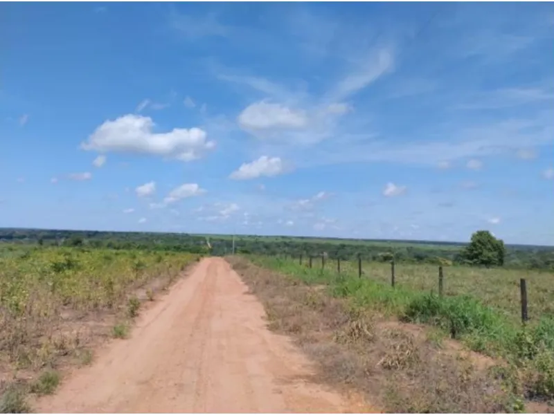 Imóvel rural em Leilão Judicial