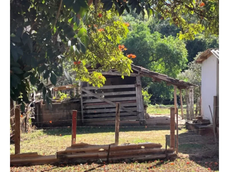 Imóvel rural em leilão