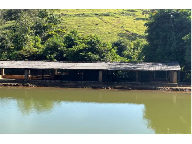 Imóvel rural em leilão