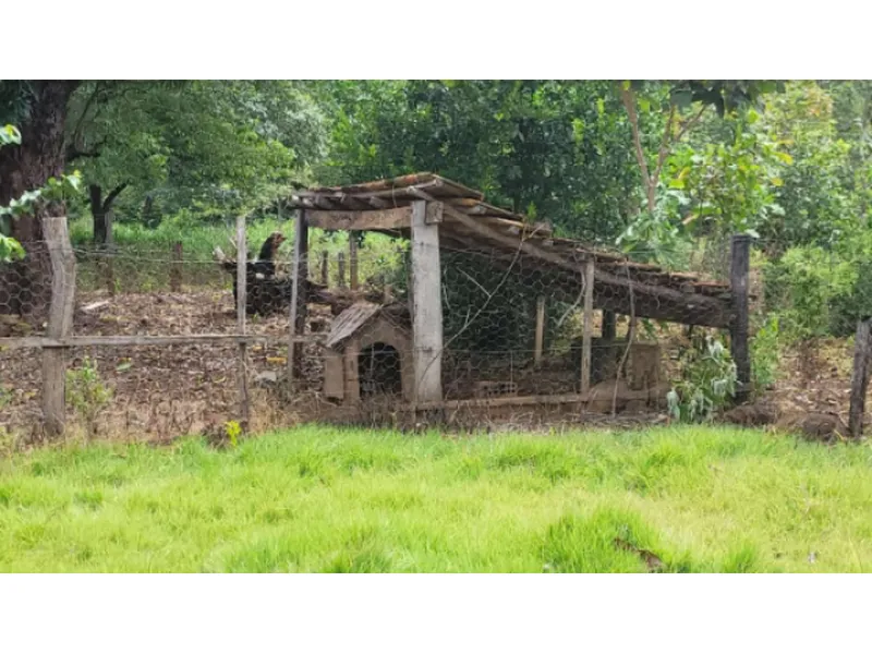 Imóvel rural em Leilão Judicial