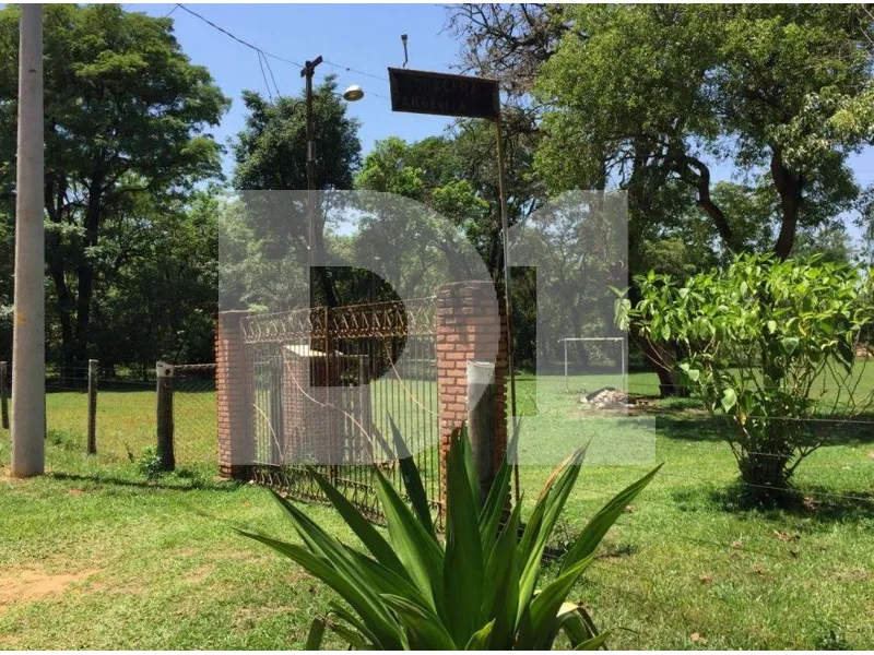 Imóvel rural em leilão