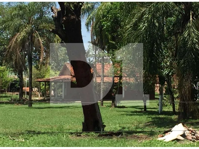 Imóvel rural em leilão