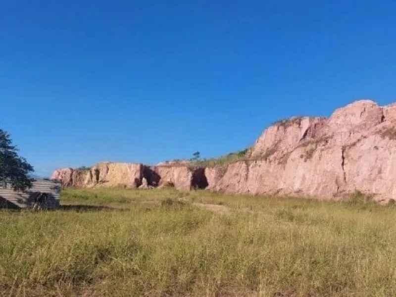 Outros em leilão