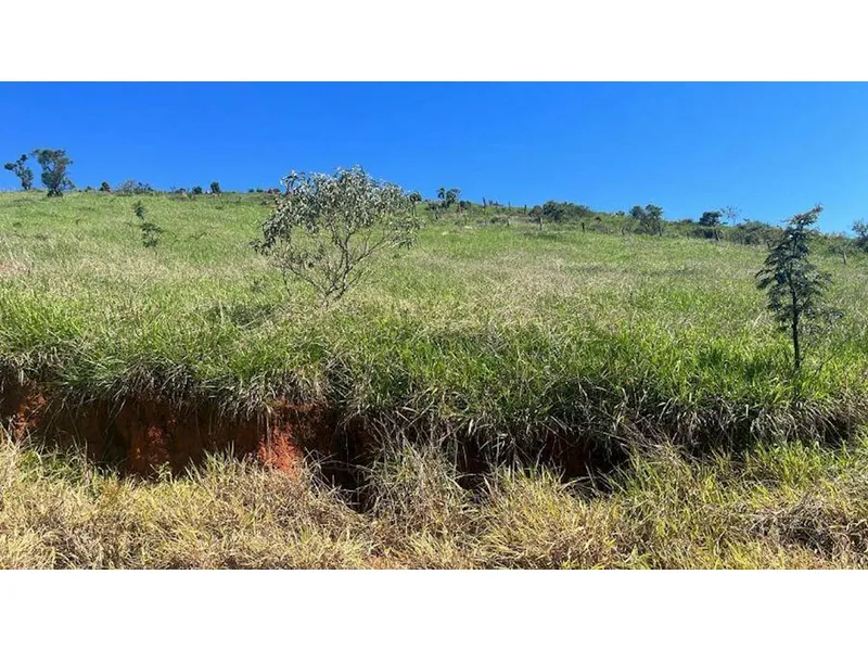 Terreno em leilão